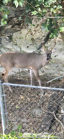 Image 27 of 28 For 1247 Abbotsbury