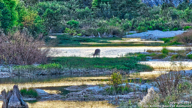 Image 10 of 56 For 1647 Rio Ranchero