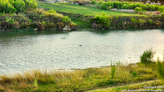 Image 47 of 56 For 1647 Rio Ranchero