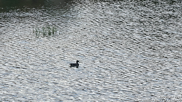 Image 48 of 56 For 1647 Rio Ranchero