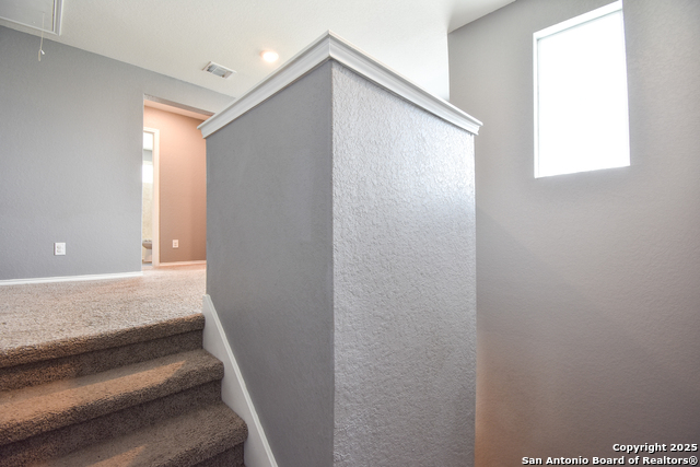 Image 17 of 31 For 13219 Winemaker