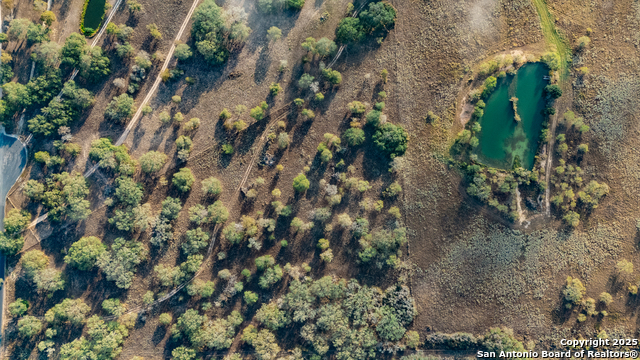 Image 14 of 34 For 970 Newman  