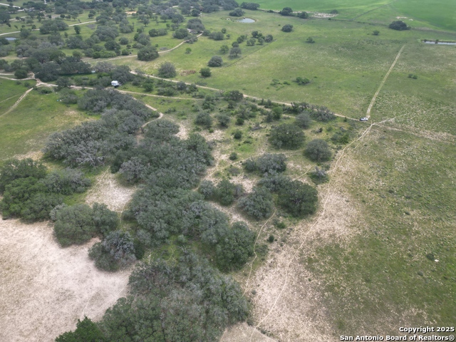 Image 29 of 34 For 970 Newman  