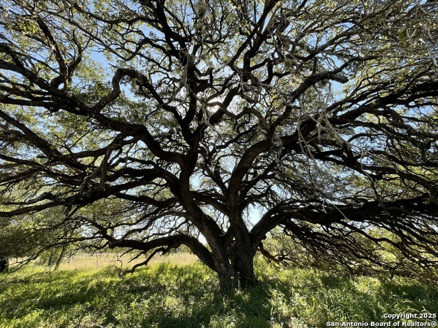 Image 3 of 34 For 970 Newman  