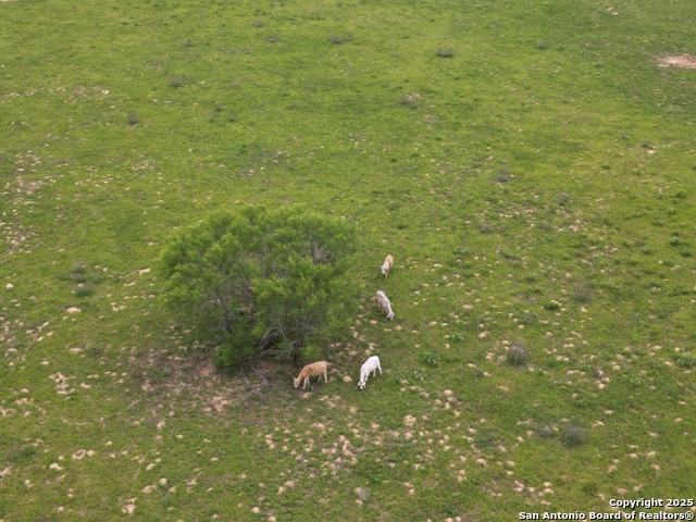 Image 34 of 34 For 970 Newman  