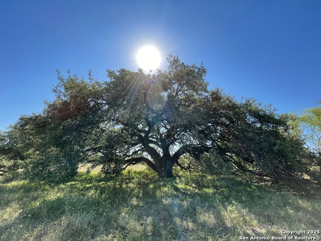 Image 4 of 34 For 970 Newman  