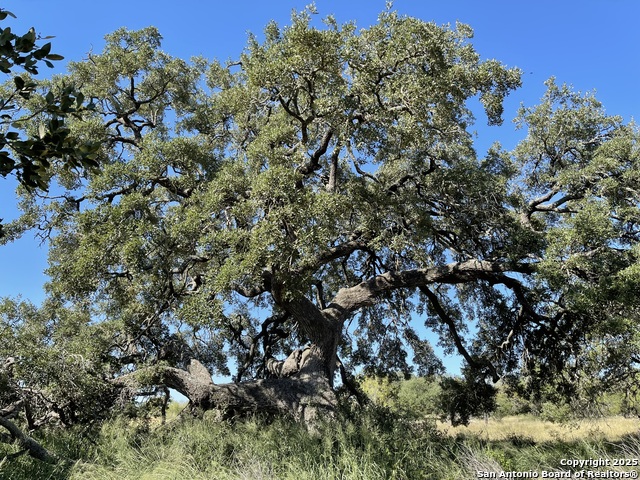 Image 6 of 34 For 970 Newman  