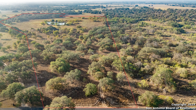 Image 9 of 34 For 970 Newman  