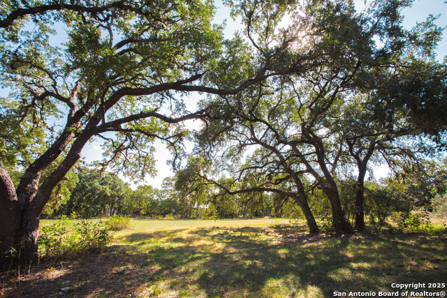 Listing photo id 16 for 7087 Dietz Elkhorn