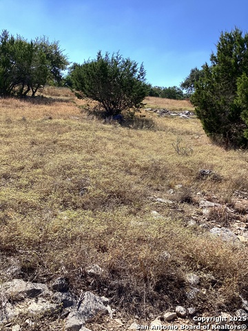 Image 4 of 13 For Tbd Ledgestone