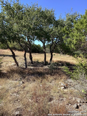 Image 9 of 13 For Tbd Ledgestone