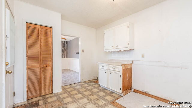 Image 4 of 21 For 2719 Chihuahua