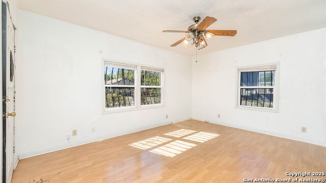 Image 8 of 21 For 2719 Chihuahua