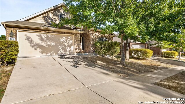 Image 21 of 22 For 120 Buckskin