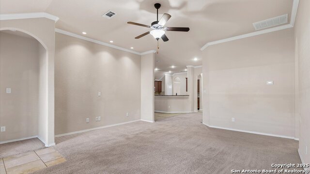 Image 3 of 22 For 120 Buckskin