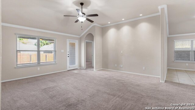 Image 4 of 22 For 120 Buckskin