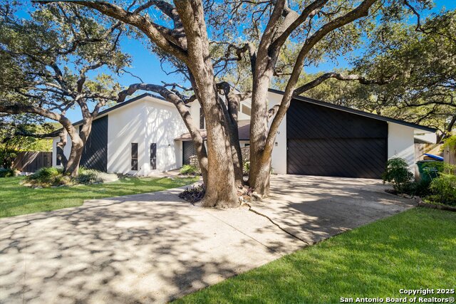 Image 4 of 35 For 8202 Brixton