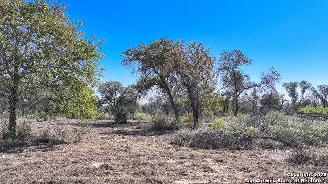 Image 6 of 21 For 26013 Sand Cliff