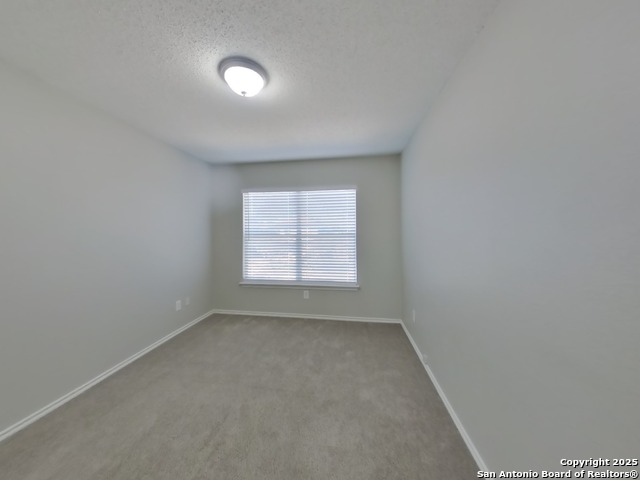 Image 10 of 18 For 10170 Paddlefish