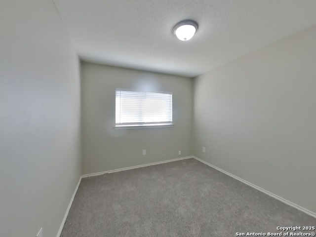 Image 11 of 18 For 10170 Paddlefish