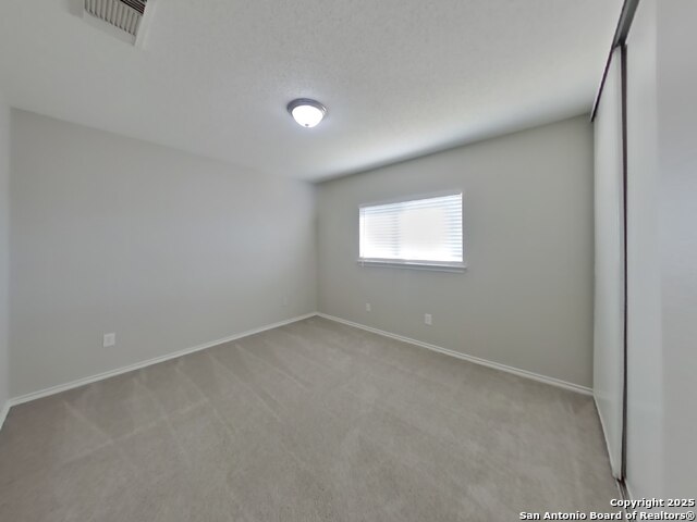 Image 13 of 18 For 10170 Paddlefish