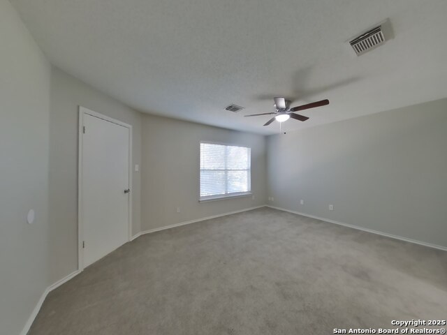 Image 7 of 18 For 10170 Paddlefish