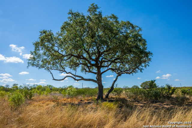 Details for Cr 652 Cr 652, Devine, TX 78016