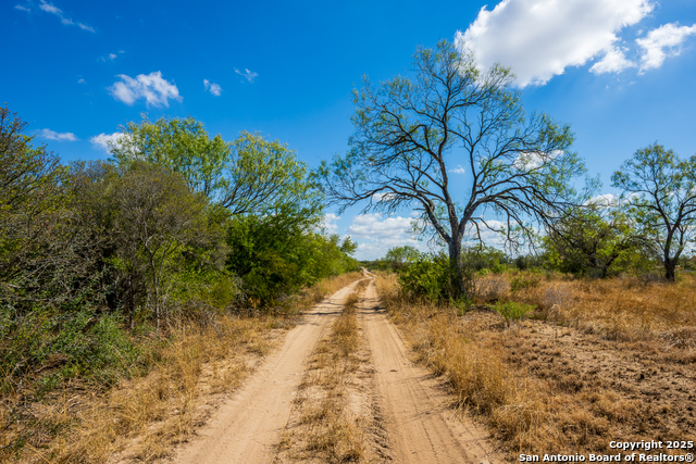 Image 2 of 12 For Cr 652 Cr 652