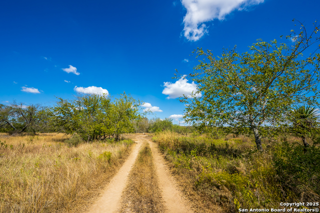 Image 4 of 12 For Cr 652 Cr 652