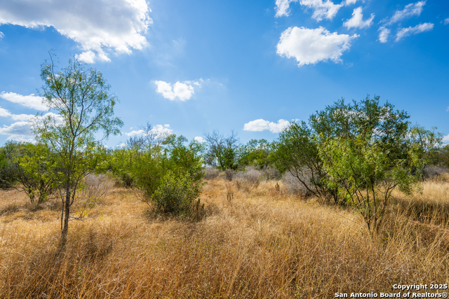 Image 8 of 12 For Cr 652 Cr 652