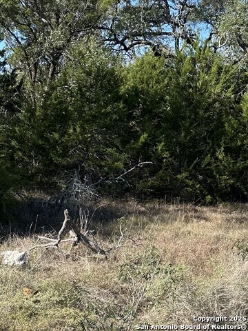 Image 2 of 5 For 1215 Powder Ridge