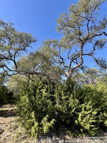 Image 4 of 5 For 1215 Powder Ridge