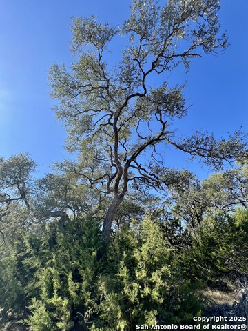 Image 5 of 5 For 1215 Powder Ridge