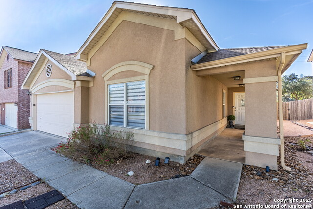 Image 3 of 35 For 22015 Pelican