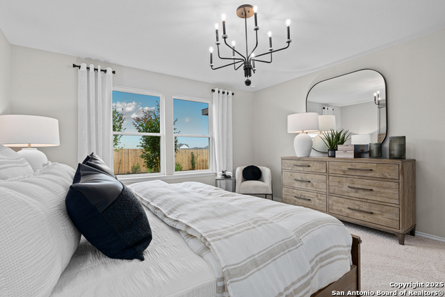 Image 12 of 23 For 12028 Mutton Busting Drive