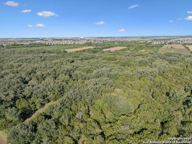 Image 44 of 45 For 13146 Galm Rd