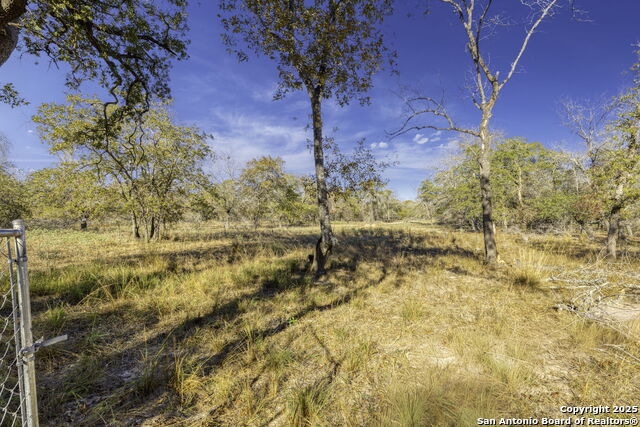 Image 39 of 41 For 105 Saddle Up Circle