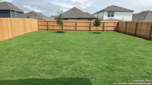 Image 26 of 26 For 10247 Band Wagon