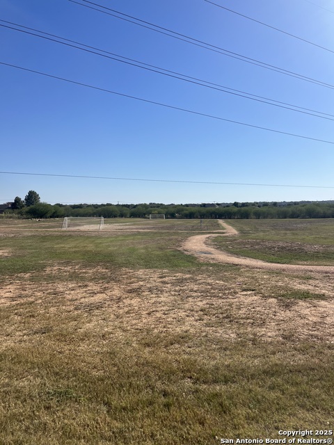 Image 28 of 30 For 455 Walnut  