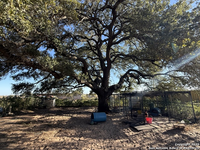 Image 24 of 24 For 1350 Fm 538