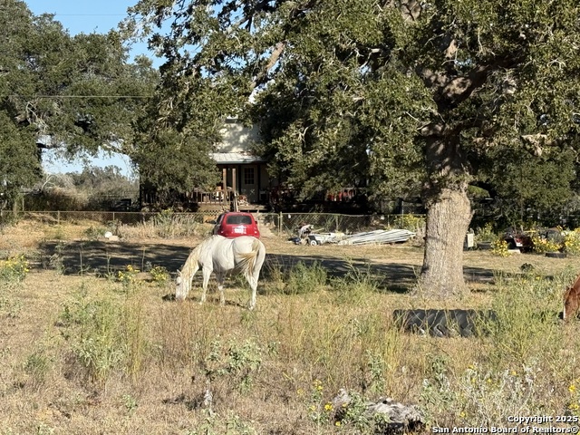 Image 3 of 24 For 1350 Fm 538