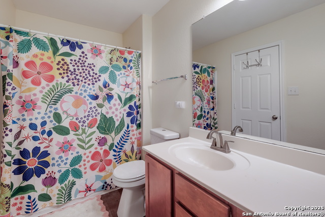 Image 17 of 19 For 7207 Kitty