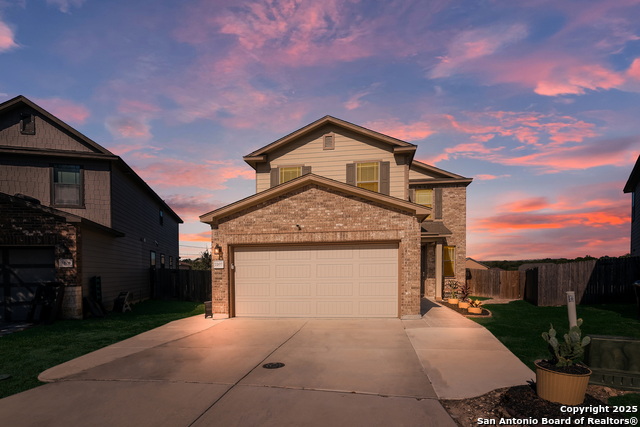 Image 18 of 19 For 7207 Kitty