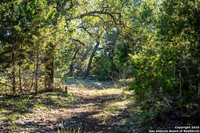 Listing photo id 11 for 708 Malaga  