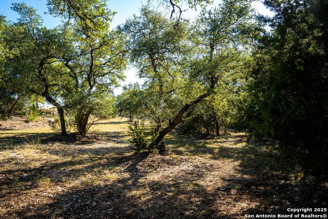 Listing photo id 12 for 708 Malaga  