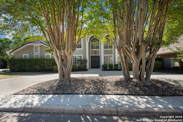 Image 56 of 70 For 10 Thornhurst