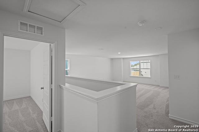 Image 8 of 32 For 12019 Mutton Busting Drive