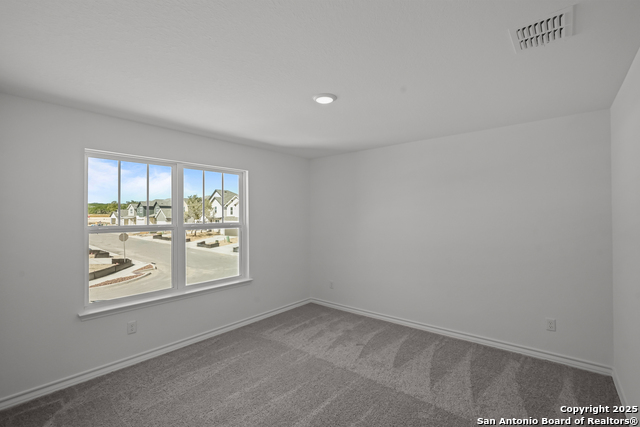 Image 9 of 32 For 12019 Mutton Busting Drive