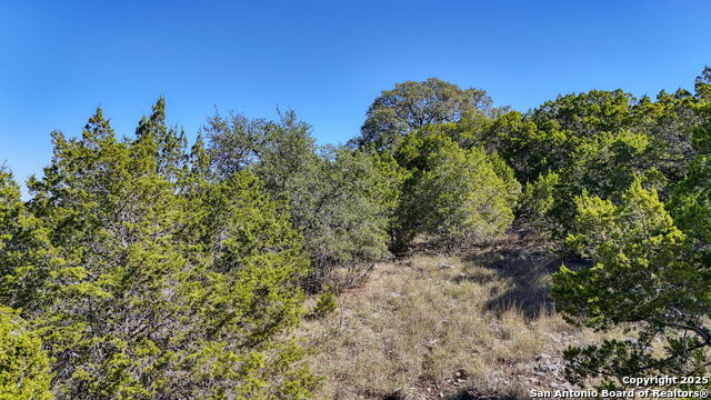 Image 21 of 29 For 24707 Creek Loop