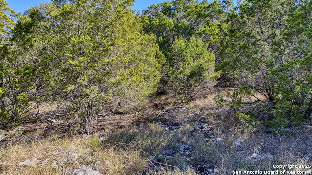 Image 22 of 29 For 24707 Creek Loop